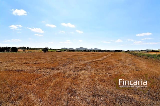 Undeveloped Land for sale in Manacor - € 200,000 (Ref: 8822823)