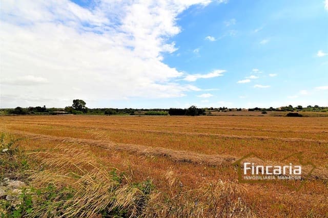 Undeveloped Land for sale in Manacor - € 200,000 (Ref: 8822823)
