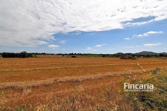 Undeveloped Land for sale in Manacor - € 200,000 (Ref: 8822823)