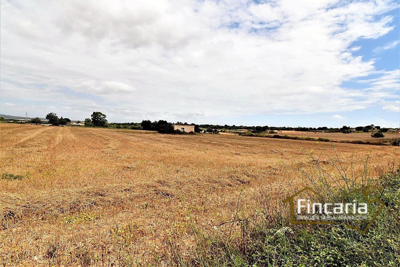 Mark till salu i Manacor - 200 000 € (Ref: 8822823)