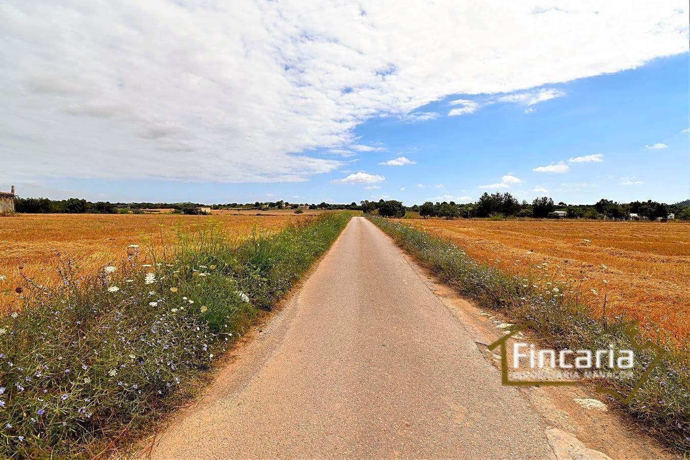 Mark till salu i Manacor - 200 000 € (Ref: 8822823)