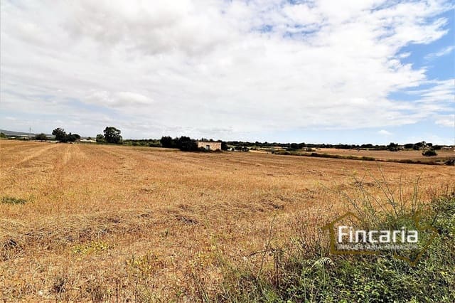 Undeveloped Land for sale in Manacor - € 200,000 (Ref: 8822823)