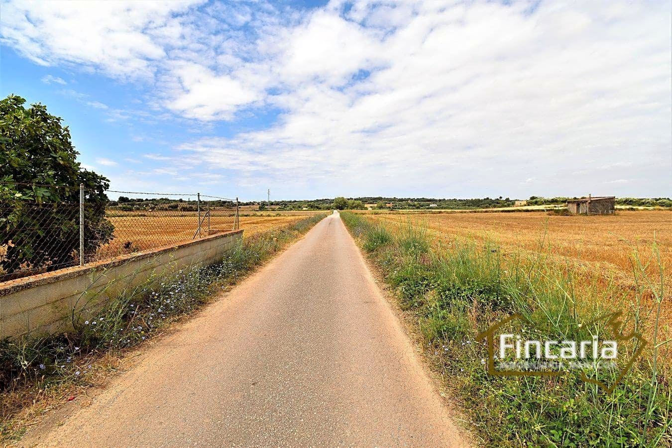 Mark till salu i Manacor - 200 000 € (Ref: 8822823)