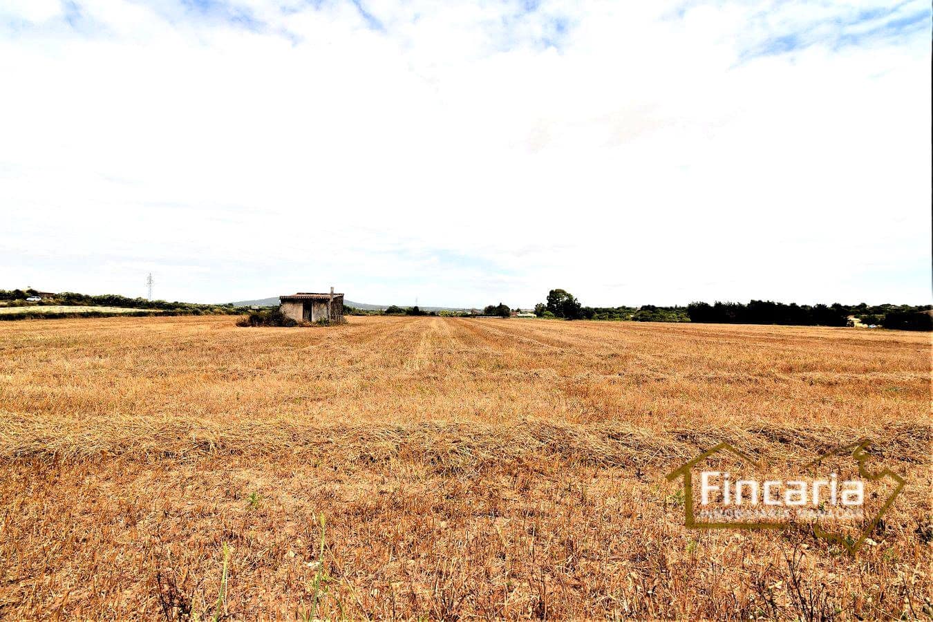 Grunde uden byggetilladelser til salg i Manacor - € 200.000 (Ref: 8822823)