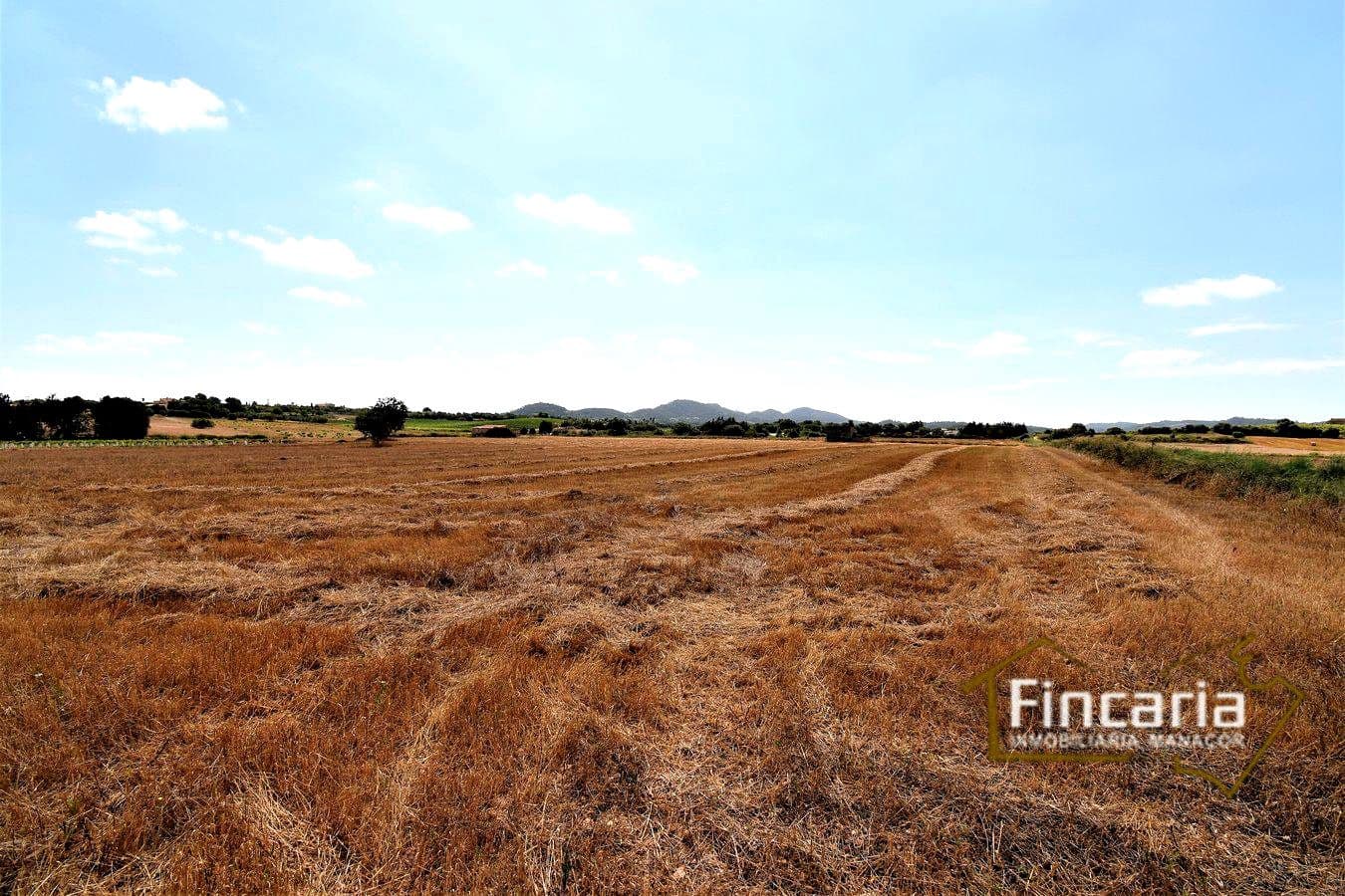 Grunde uden byggetilladelser til salg i Manacor - € 200.000 (Ref: 8822823)