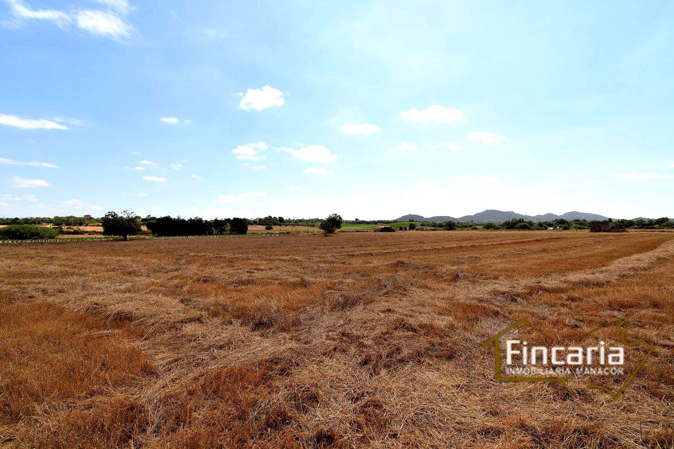 Grunde uden byggetilladelser til salg i Manacor - € 200.000 (Ref: 8822823)