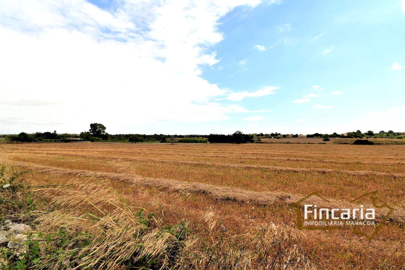 Grunde uden byggetilladelser til salg i Manacor - € 200.000 (Ref: 8822823)