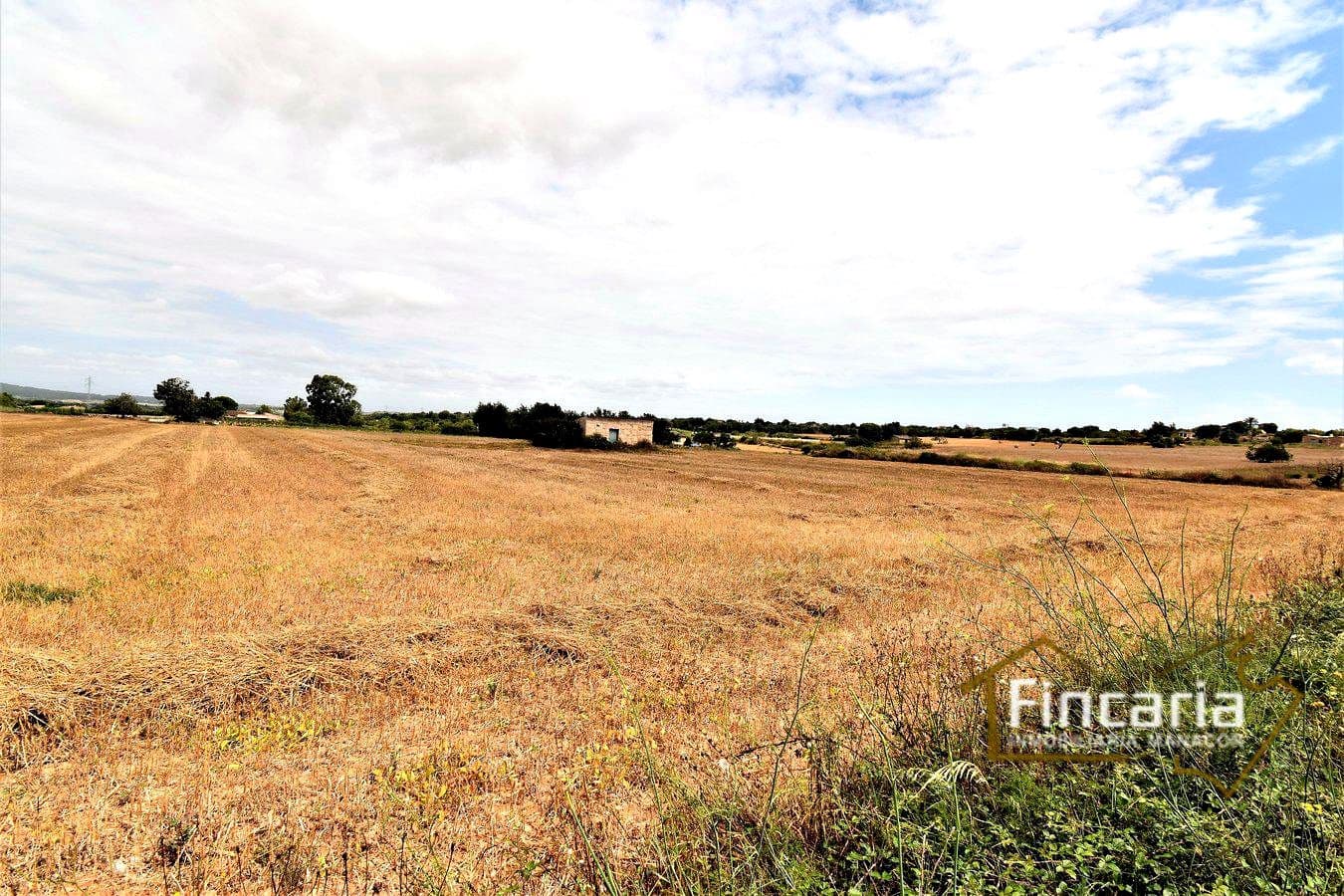 Grunde uden byggetilladelser til salg i Manacor - € 200.000 (Ref: 8822823)