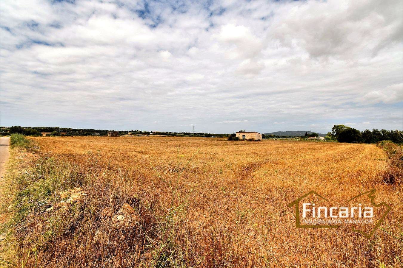 Grunde uden byggetilladelser til salg i Manacor - € 200.000 (Ref: 8822823)