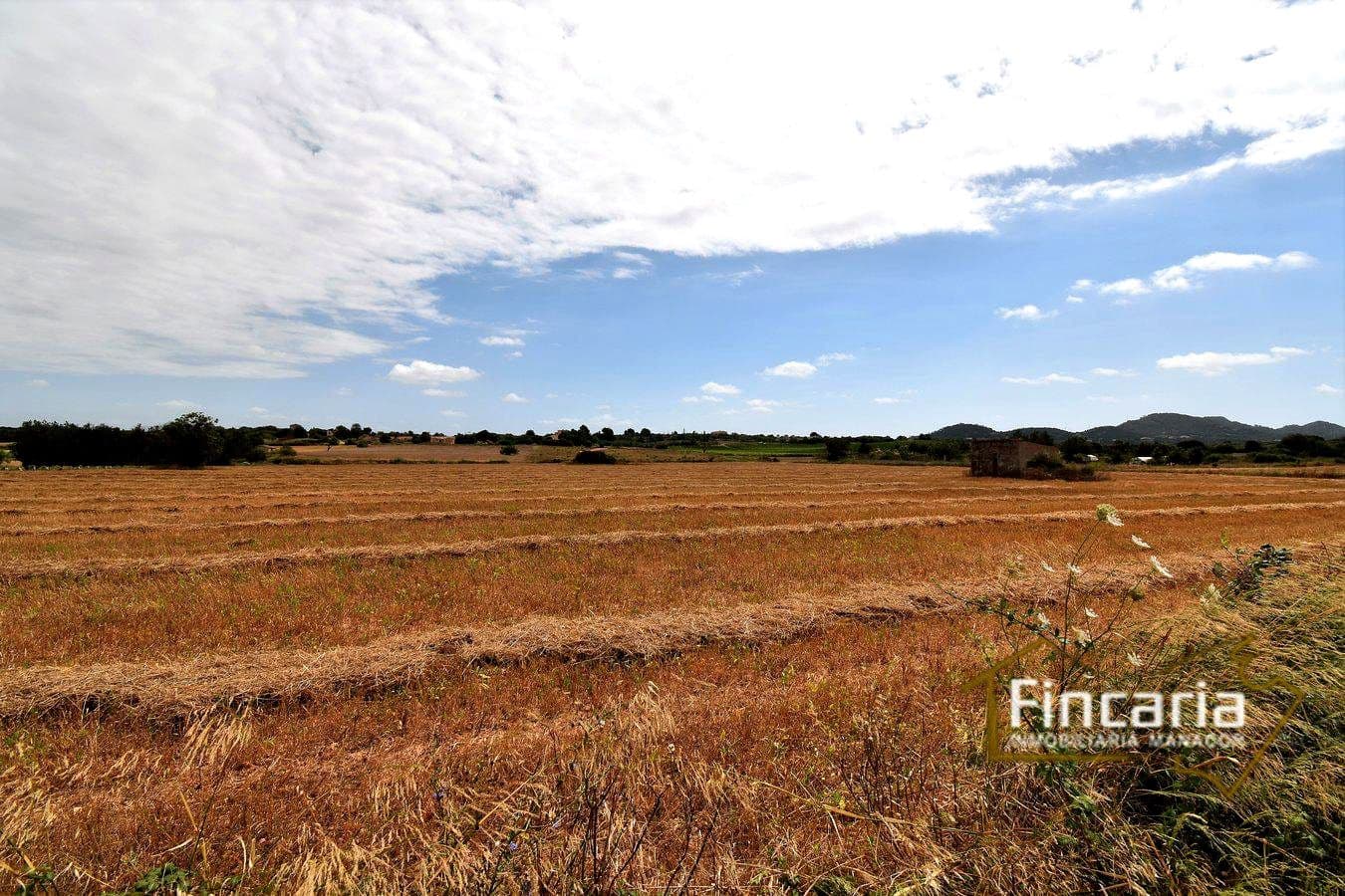 Grunde uden byggetilladelser til salg i Manacor - € 200.000 (Ref: 8822823)