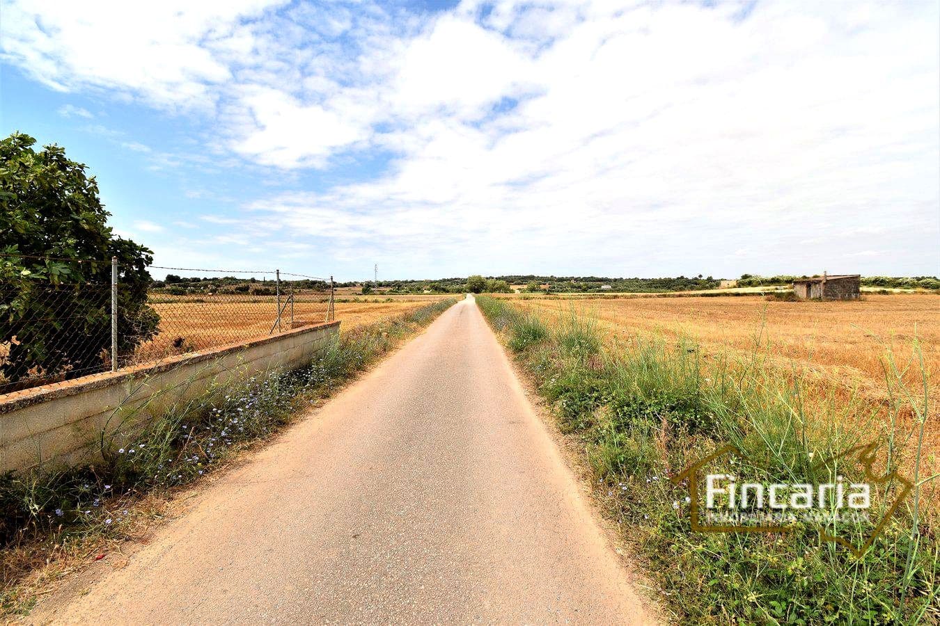 Grunde uden byggetilladelser til salg i Manacor - € 200.000 (Ref: 8822823)