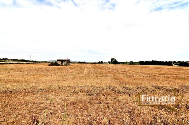 Grunde uden byggetilladelser til salg i Manacor - € 200.000 (Ref: 8822823)