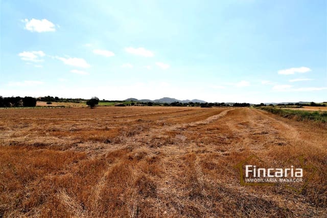 Grunde uden byggetilladelser til salg i Manacor - € 200.000 (Ref: 8822823)