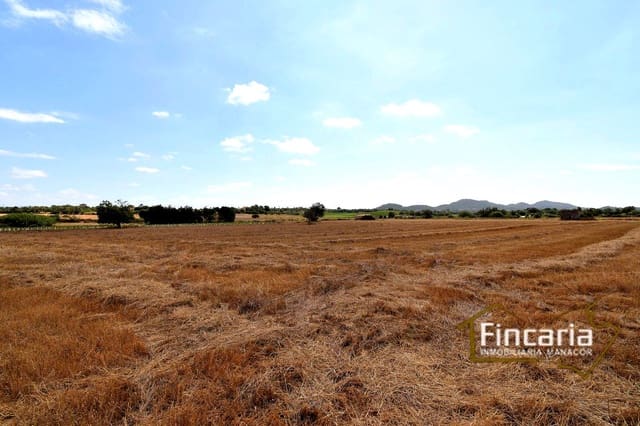 Grunde uden byggetilladelser til salg i Manacor - € 200.000 (Ref: 8822823)