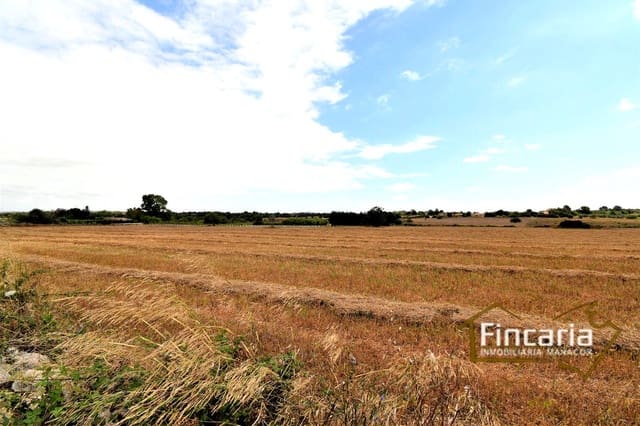 Grunde uden byggetilladelser til salg i Manacor - € 200.000 (Ref: 8822823)