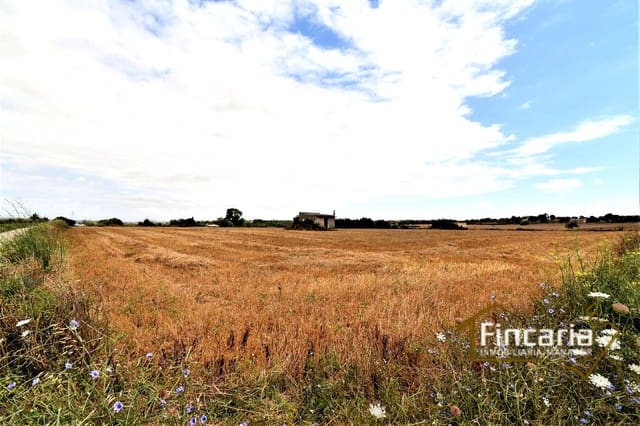 Grunde uden byggetilladelser til salg i Manacor - € 200.000 (Ref: 8822823)