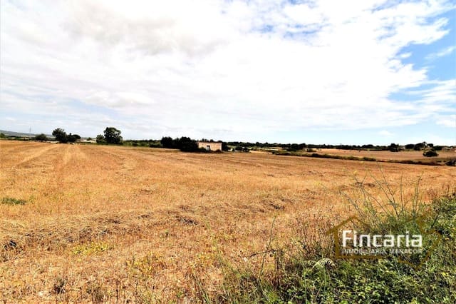 Grunde uden byggetilladelser til salg i Manacor - € 200.000 (Ref: 8822823)