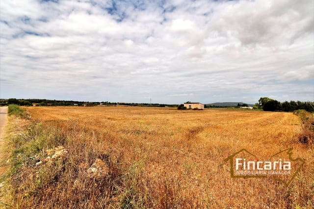 Grunde uden byggetilladelser til salg i Manacor - € 200.000 (Ref: 8822823)