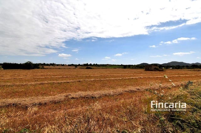 Grunde uden byggetilladelser til salg i Manacor - € 200.000 (Ref: 8822823)