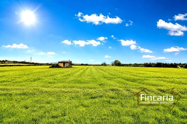 Grunde uden byggetilladelser til salg i Manacor - € 200.000 (Ref: 8822823)