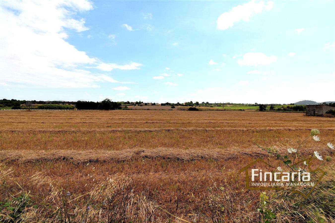 Grunde uden byggetilladelser til salg i Manacor - € 200.000 (Ref: 8822823)