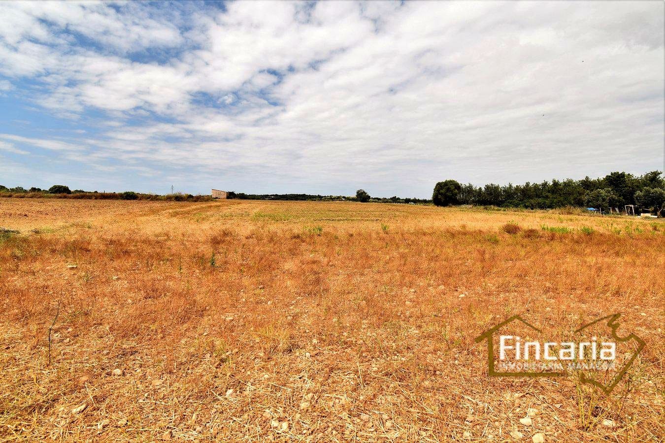 Grunde uden byggetilladelser til salg i Manacor - € 200.000 (Ref: 8822823)