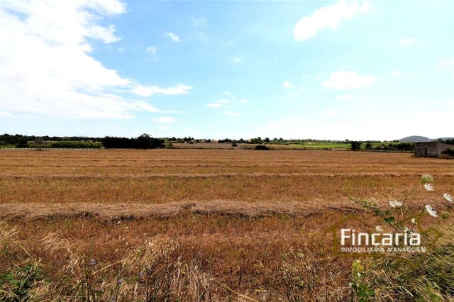 Grunde uden byggetilladelser til salg i Manacor - € 200.000 (Ref: 8822823)