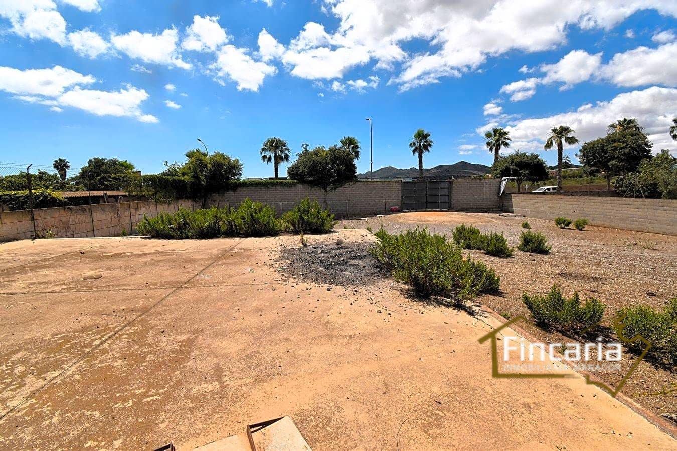 Grunde uden byggetilladelser til leje i Manacor - € 700 (Ref: 8886970)