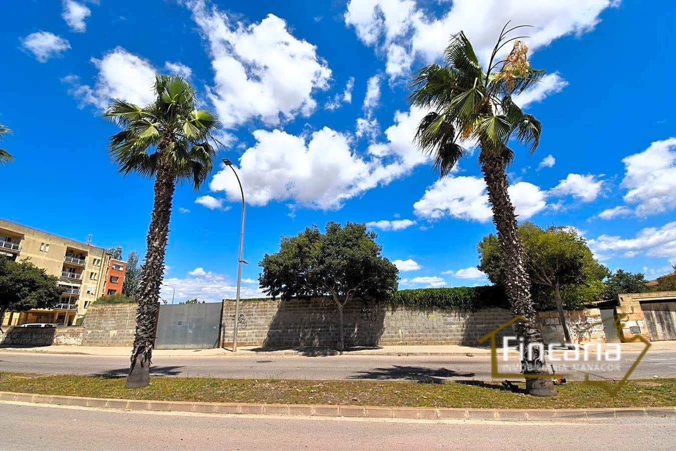 Grunde uden byggetilladelser til leje i Manacor - € 700 (Ref: 8886970)