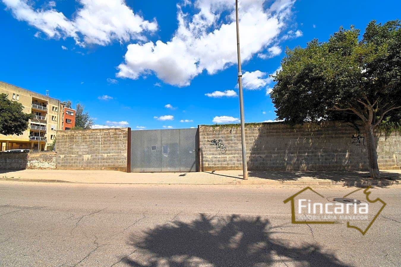 Grunde uden byggetilladelser til leje i Manacor - € 700 (Ref: 8886970)