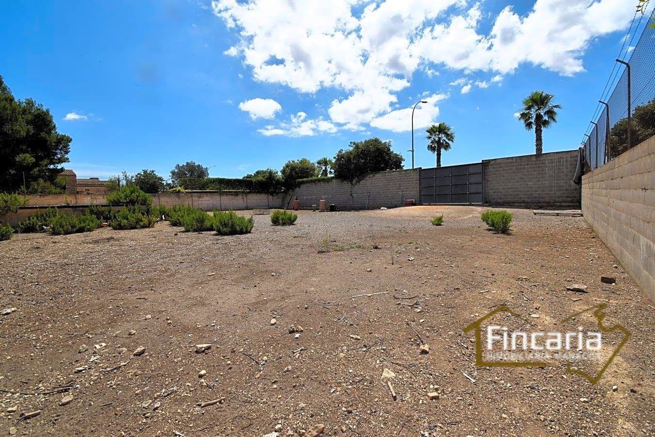 Grunde uden byggetilladelser til leje i Manacor - € 700 (Ref: 8886970)