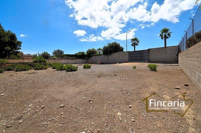 Grunde uden byggetilladelser til leje i Manacor - € 700 (Ref: 8886970)