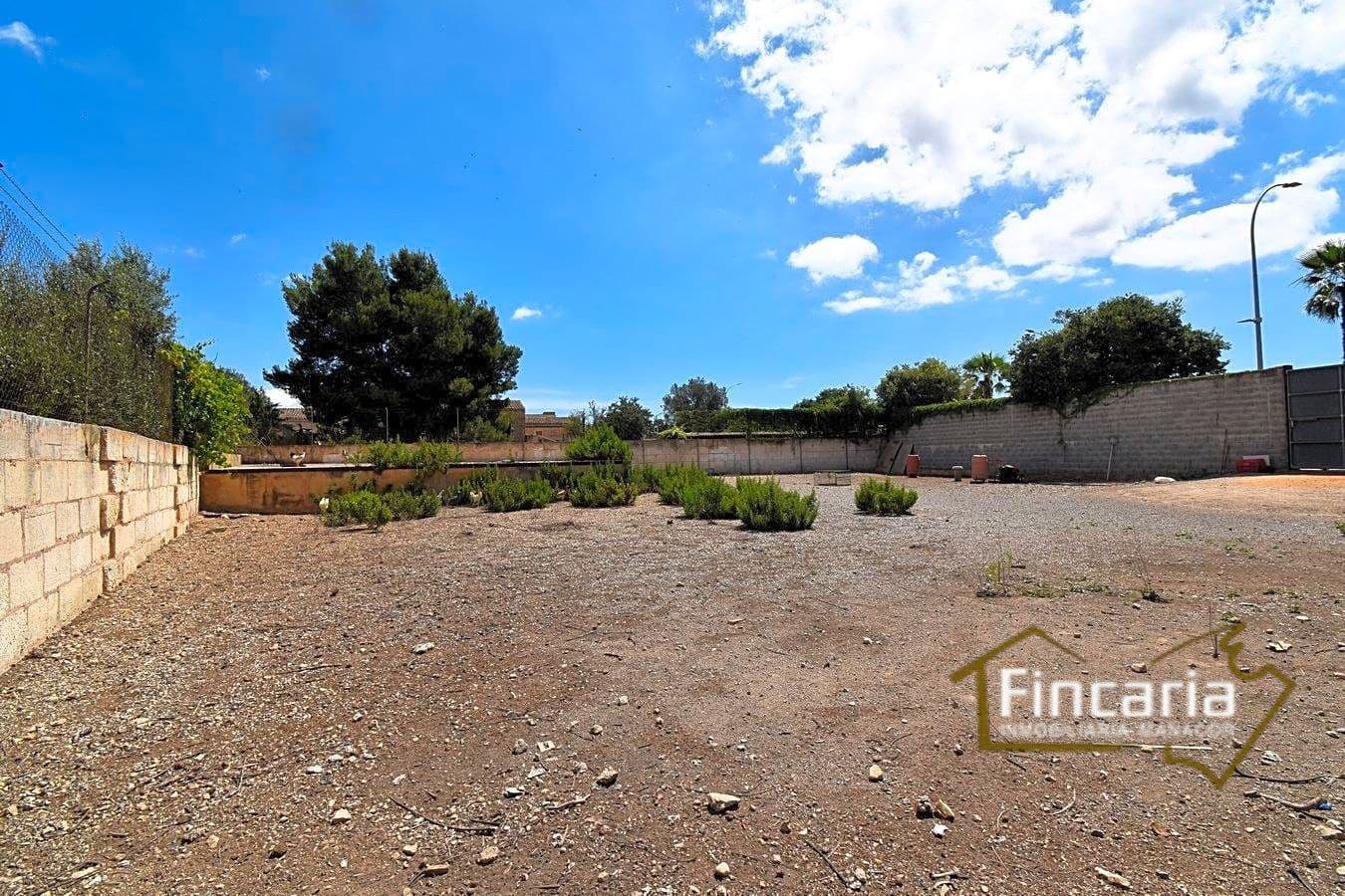 Grunde uden byggetilladelser til leje i Manacor - € 700 (Ref: 8886970)