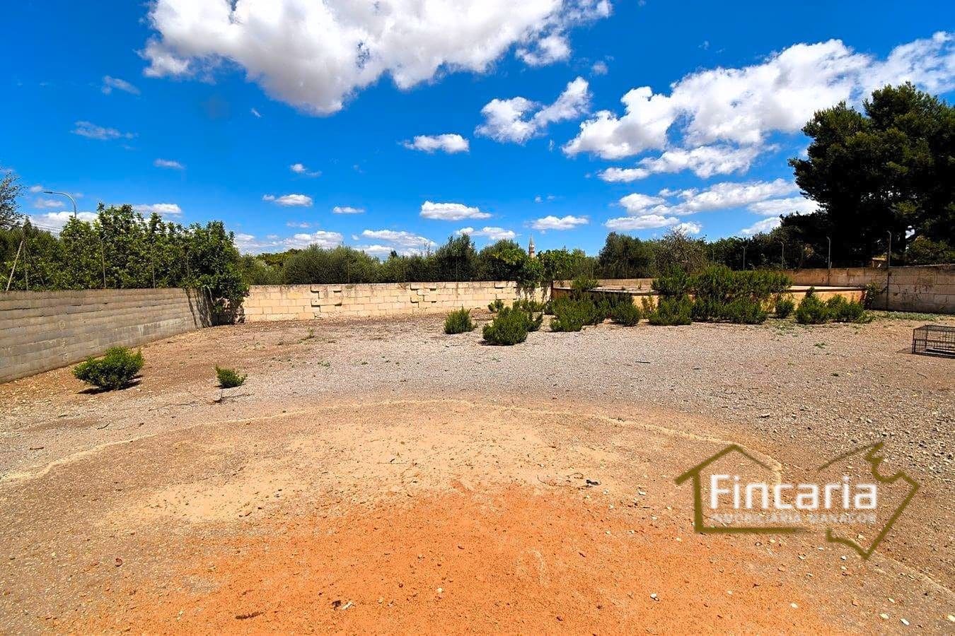 Grunde uden byggetilladelser til leje i Manacor - € 700 (Ref: 8886970)