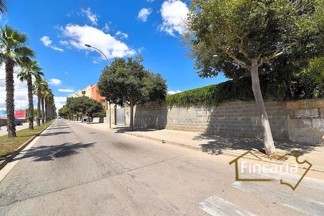 Grunde uden byggetilladelser til leje i Manacor - € 700 (Ref: 8886970)