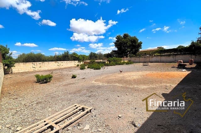 Grunde uden byggetilladelser til leje i Manacor - € 700 (Ref: 8886970)