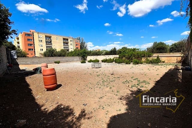 Grunde uden byggetilladelser til leje i Manacor - € 700 (Ref: 8886970)