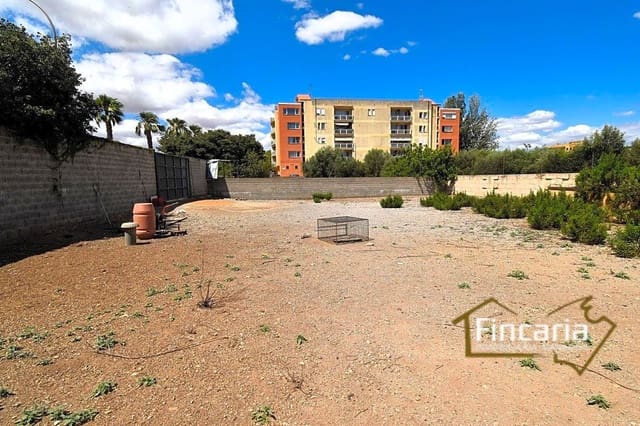 Grunde uden byggetilladelser til leje i Manacor - € 700 (Ref: 8886970)