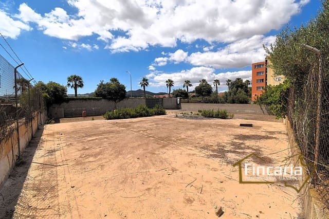 Grunde uden byggetilladelser til leje i Manacor - € 700 (Ref: 8886970)