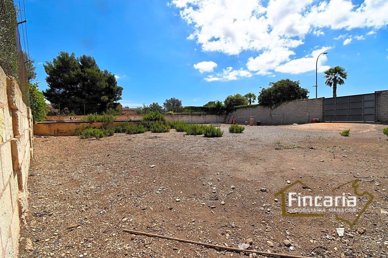 Grunde uden byggetilladelser til leje i Manacor - € 700 (Ref: 8886970)