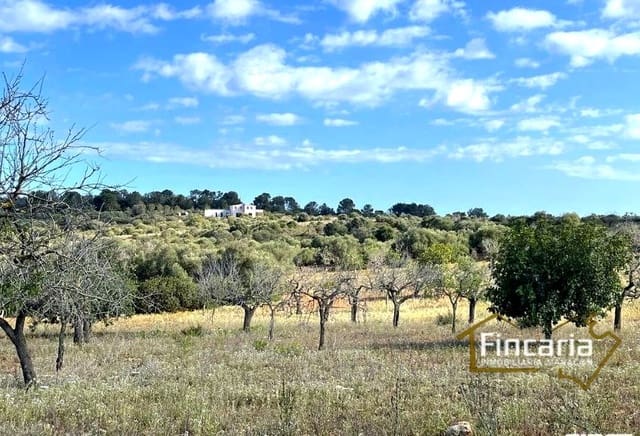 Undeveloped Land for sale in Cala Mandia, Manacor - € 350,000 (Ref: 8924712)