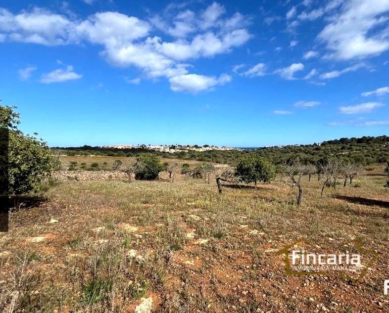 Undeveloped Land for sale in Cala Mandia - € 350,000 (Ref: 8924712)