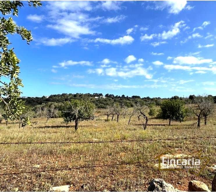 Terre non Aménagée à vendre à Cala Mandia - 350 000 € (Ref: 8924712)