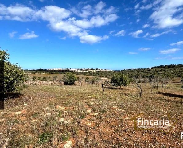 Undeveloped Land for sale in Cala Mandia, Manacor - € 350,000 (Ref: 8924712)