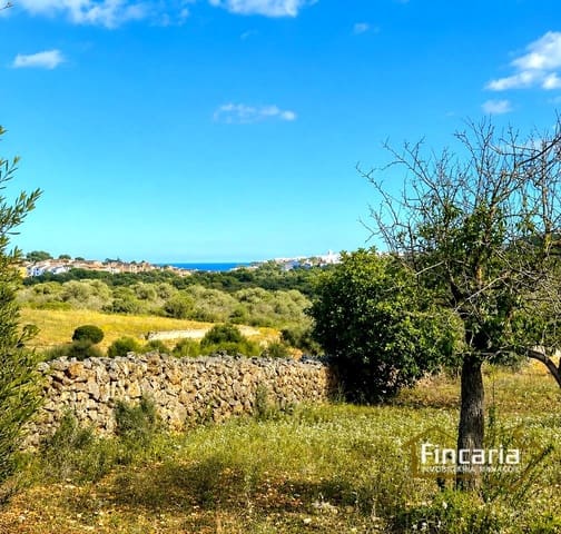 Undeveloped Land for sale in Cala Mandia, Manacor - € 350,000 (Ref: 8924712)