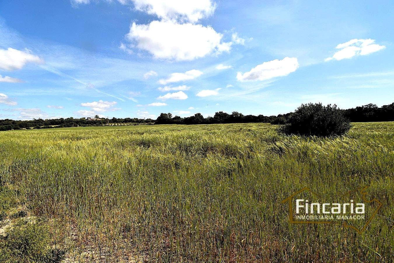 Teren niezagospodarowany na sprzedaż w Felanitx - 192 000 € (Ref: 8956407)