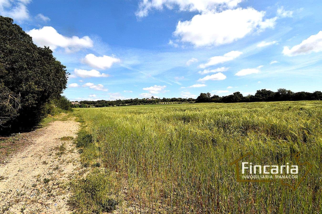 Teren niezagospodarowany na sprzedaż w Felanitx - 192 000 € (Ref: 8956407)