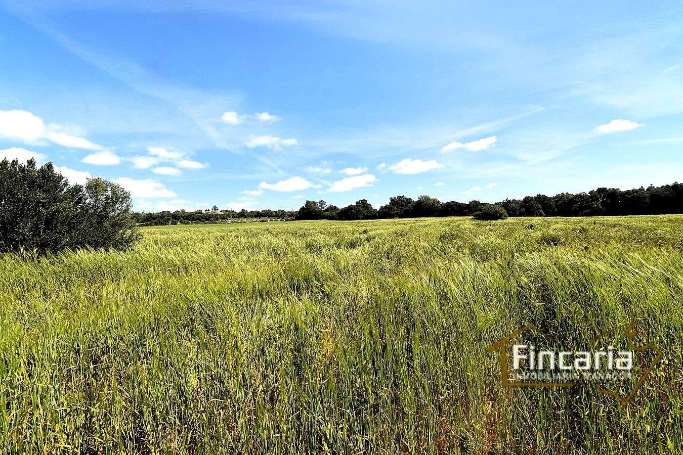 Teren niezagospodarowany na sprzedaż w Felanitx - 192 000 € (Ref: 8956407)