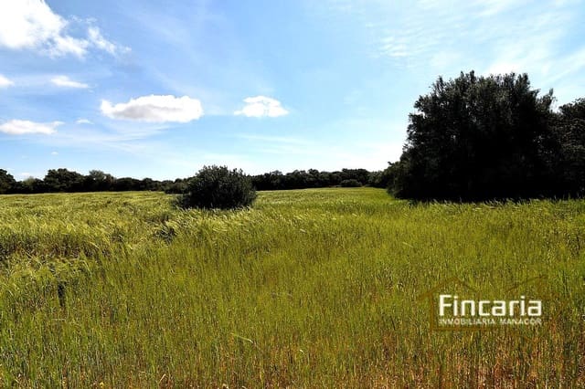 Landgrundstück zu verkaufen in Felanitx - 192.000 € (Ref: 8956407)