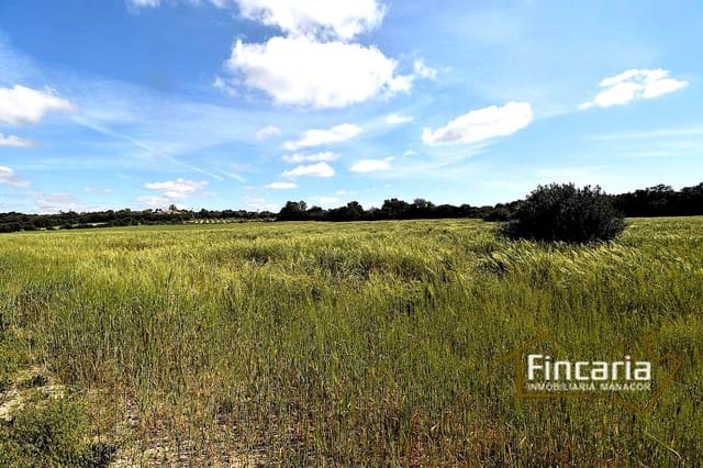 Landgrundstück zu verkaufen in Felanitx - 192.000 € (Ref: 8956407)